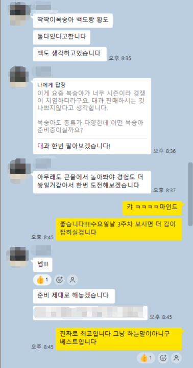실제 1:1 카톡 케어 캡쳐